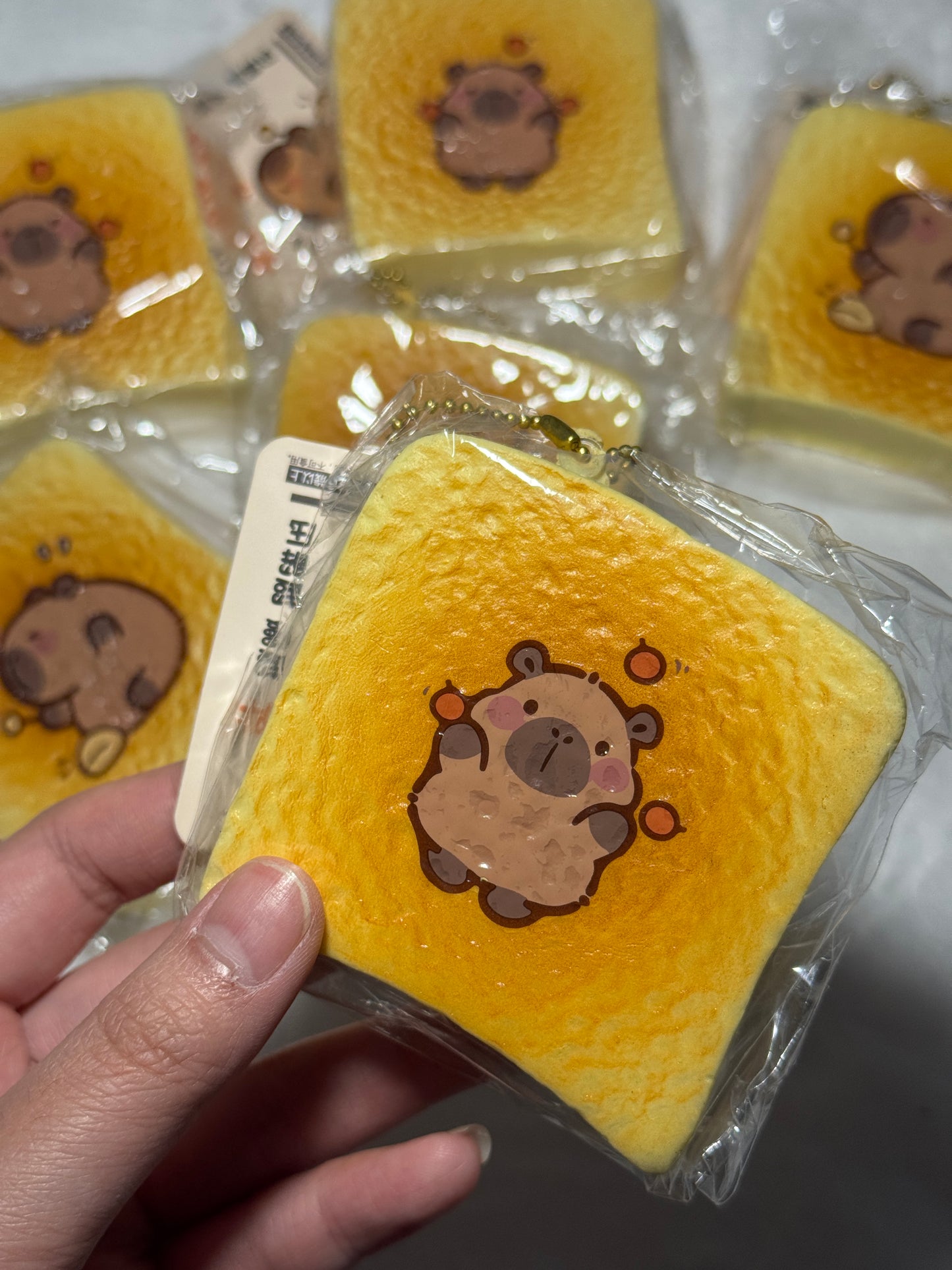 Capybara Toast Squishy